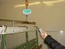 pce-instruments-crane-scale-pce (3)