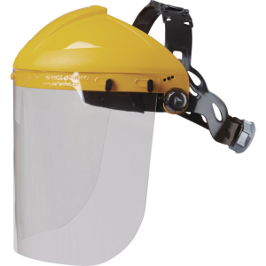 DELTA PLUS BALBI2 FACE SHIELD